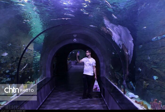 انزلی، مروارید گیلان و شکوه تالاب