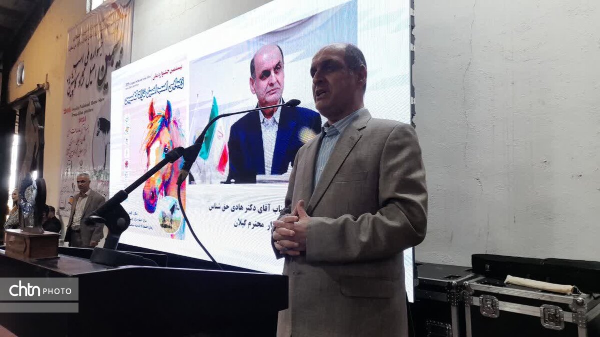 استاندار: اسب کاسپین میتواند برند بینالمللی گیلان شود استاندار: اسب کاسپین میتواند برند بینالمللی گیلان شود