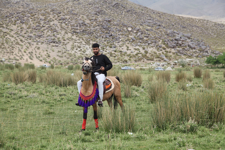 جشنواره گل محمدی لاله زار