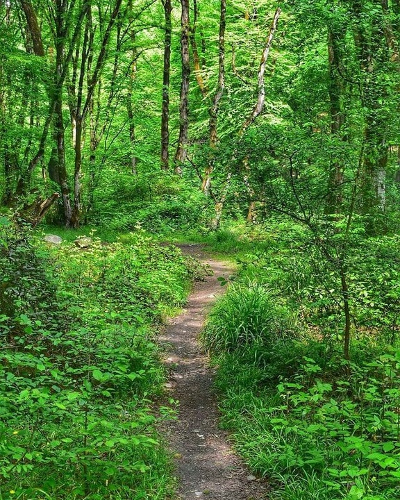 منطقه نمونه گردشگری النگ دره گرگان