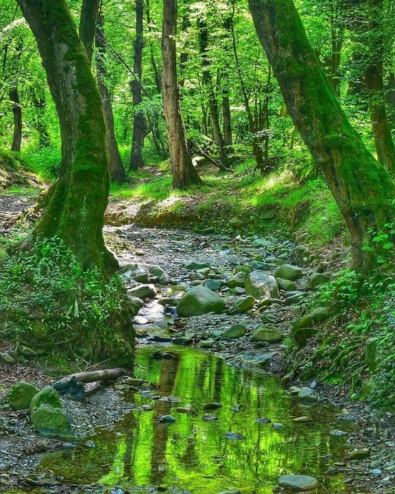 منطقه نمونه گردشگری النگ دره گرگان