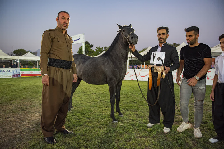 جشنواره بین‌المللی اسب اصیل کُرد