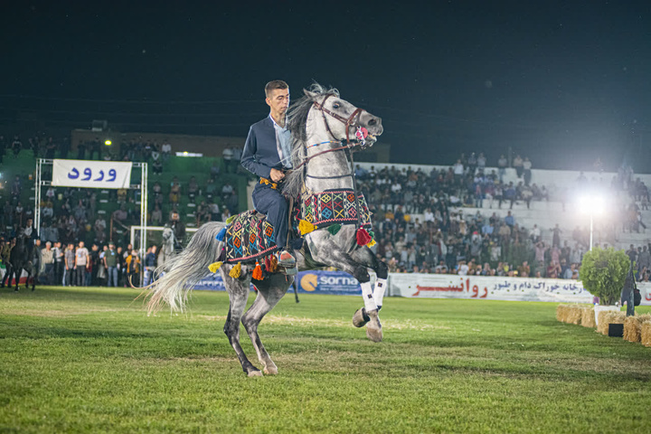 جشنواره بین‌المللی اسب اصیل کُرد