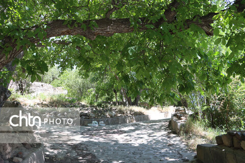 روستای هدف گردشگری چاشم