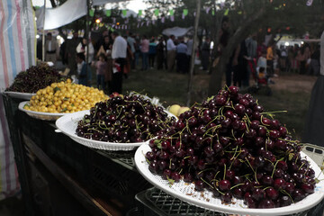 بازدید بیش از 15 هزار نفر از جشنواره گیلاس اشنویه