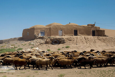 کویر رضا آباد شاهرود