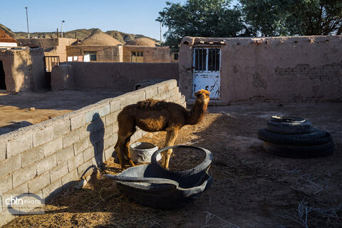 کویر رضا آباد شاهرود