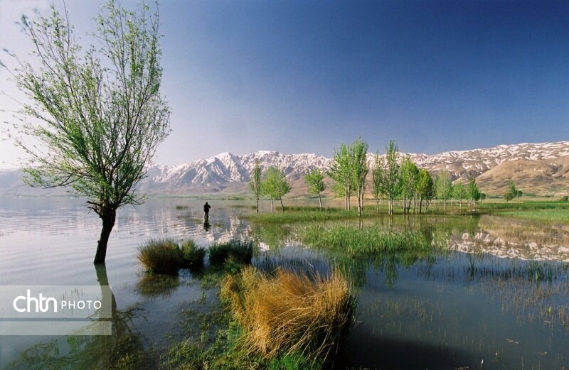 نوروزگردی در چهارمحال و بختیاری/ از جنگلهای بلوط تا هفت چشمه سینی