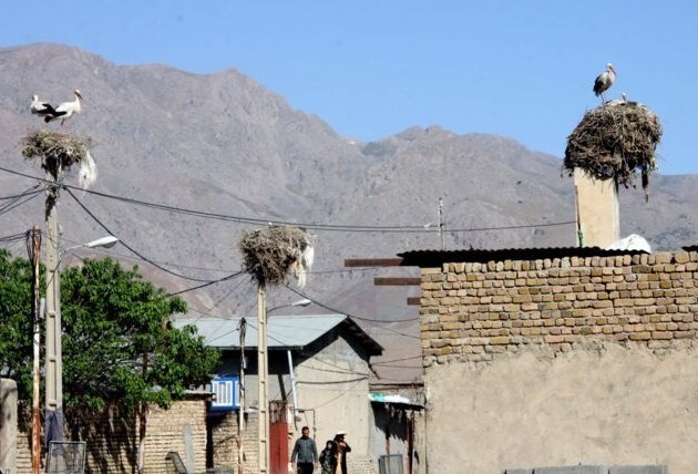 توسعه زیرساخت‌های گردشگری در روستای کپرجودکی لرستان