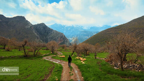 روستاهای کردستان، چشم‌اندازی از هنر، معماری و زندگی