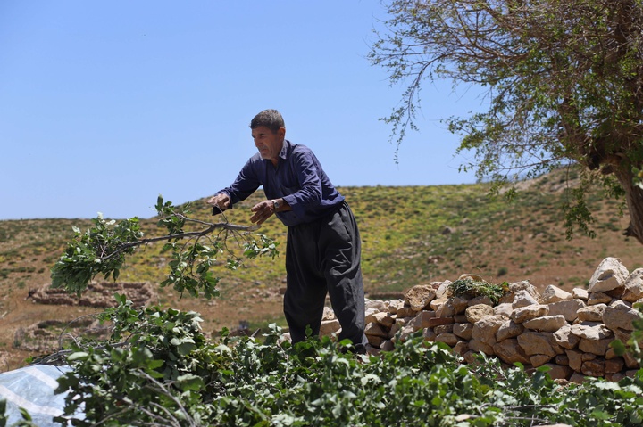 زندگی هه‌وار نشینان روستای پالنگان در دل کوهستان شاهو