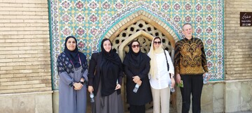روایت‌گری در کاخ گلستان برای اعضای شورای حکام یک ایده ارزشمند است