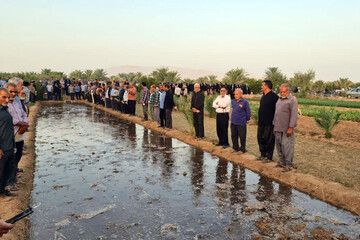 آیین سنتی آب به بذر شلغم در خوروبیابانک اصفهان برگزار شد