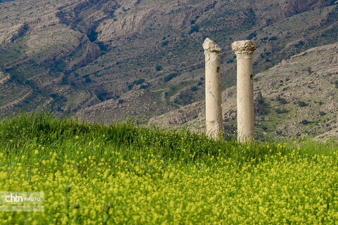 بنای یادبود شهر جهانی بیشاپور