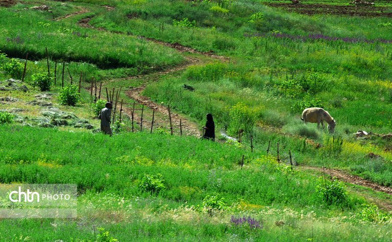 نوروزگردی در چهارمحال و بختیاری/ از جنگلهای بلوط تا هفت چشمه سینی