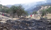 مصدومیت همیار طبیعت در آتش‌سوزی جنگل‌های باشت