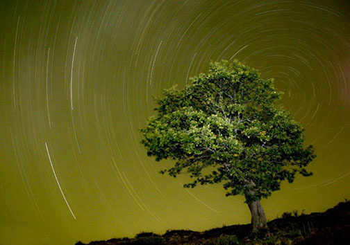 جنگل ابر؛ شاعرانهای در دل شاهرود/ لذت قدم زدن روی ابرها