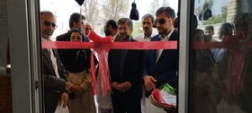 نمایشگاه  توانمندی‌های حوزه صنایع‌دستی و کشاورزی سیستان و بلوچستان افتتاح شد