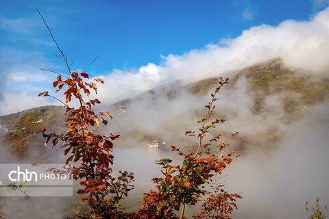 پاییز گلستان