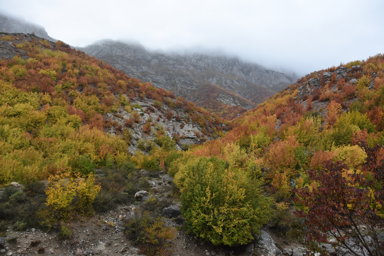 شهر نمونه گردشگری بینالمللی شهمیرزاد، نگین سبز کویر سمنان