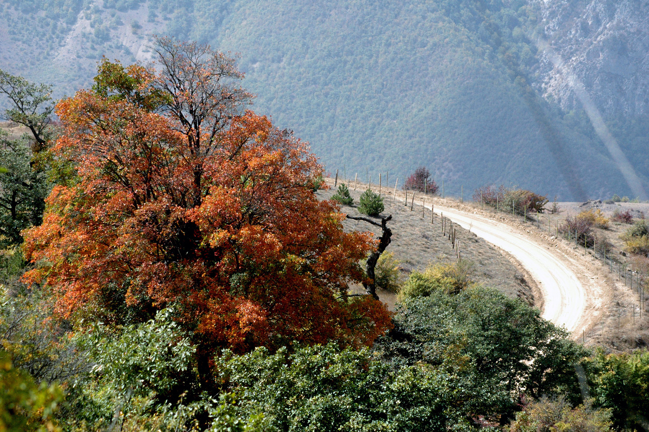شهر نمونه گردشگری بینالمللی شهمیرزاد، نگین سبز کویر سمنان