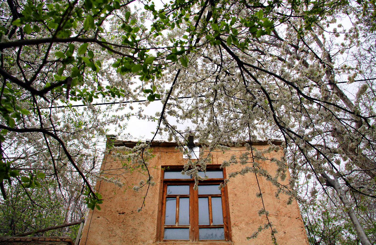 شهر نمونه گردشگری بینالمللی شهمیرزاد، نگین سبز کویر سمنان
