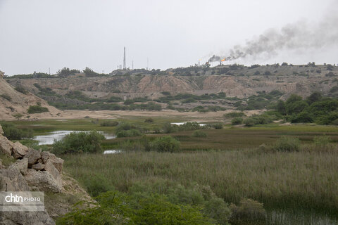 جزیره خارگ