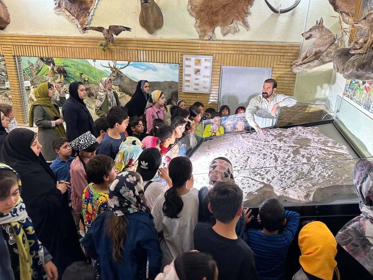 اردوی علمی و فرهنگی رضوی در موزه تاریخ طبیعی و حیات وحش زنجان