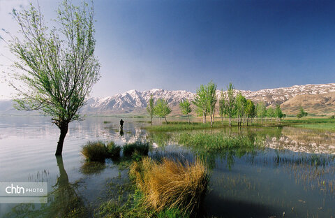 تالاب بینالمللی چغاخور، جلوهای دیدنی از گردشگری طبیعی تالاب بینالمللی چغاخور، جلوهای دیدنی از گردشگری طبیعی