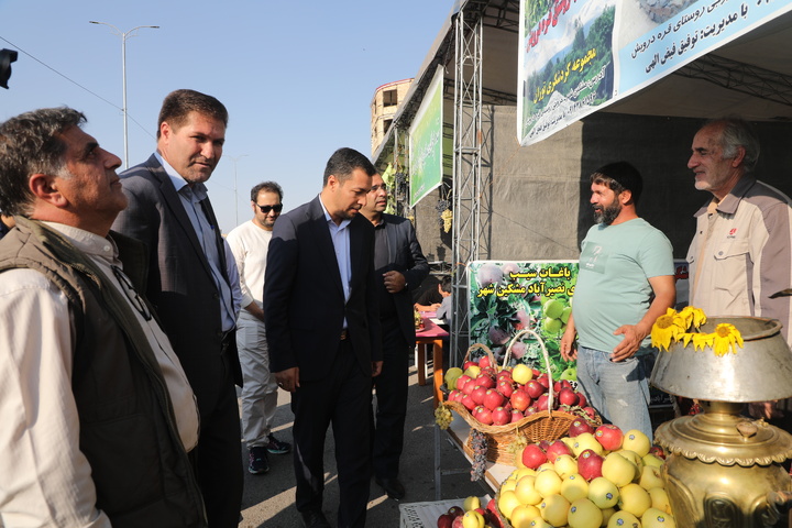 جشنواره سیب و انگور در مشگین‌شهر برگزار شد