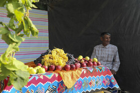 جشنواره سیب و انگور در مشگین شهر