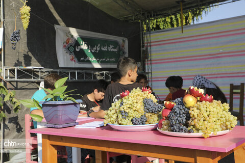 جشنواره سیب و انگور در فخرآباد مشگین‌شهر
