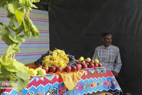 جشنواره سیب و انگور در مشگین شهر