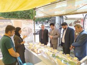 نمایشگاه صنایع‌دستی در شهرستان جویبار برپا شد