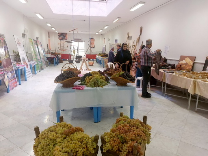 برگزاری بیست و ششمین جشنواره انگور در تاکستان