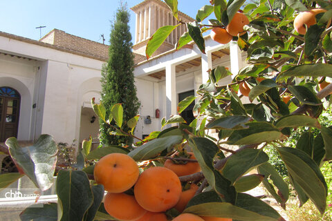 خانه یغمائی ها شاهرود