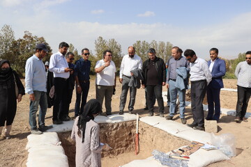 بازدید رئیس پژوهشگاه میراث فرهنگی و گردشگری از روند کاوش های محوطه ازبکی