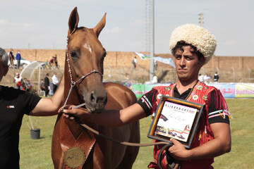 جشنواره ملی زیبایی اسب اصیل ترکمن در علی‌آباد کتول برگزار می‌شود
