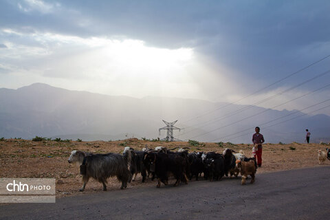 مالکَنون عشایر بختیاری