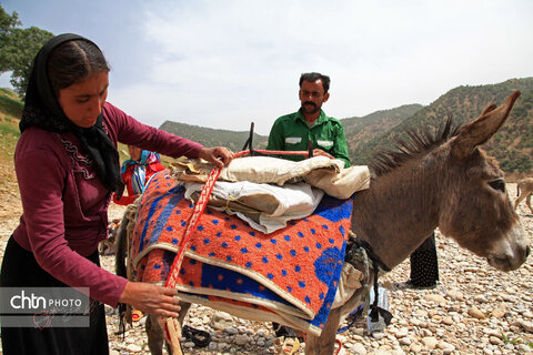 مالکَنون عشایر بختیاری