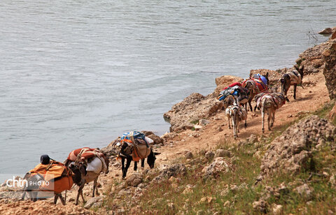 مالکَنون عشایر بختیاری