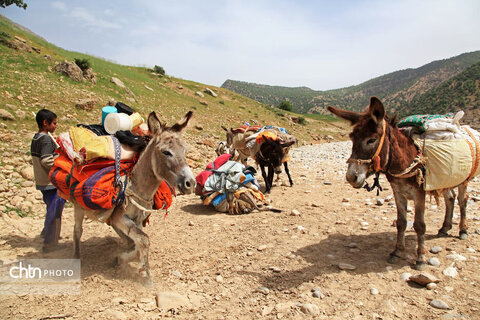 مالکَنون عشایر بختیاری