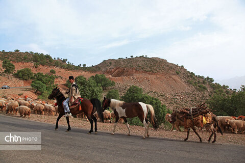 مالکَنون عشایر بختیاری