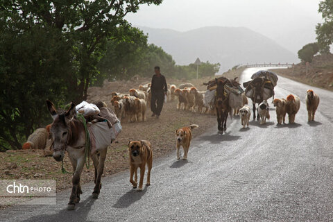 مالکَنون عشایر بختیاری