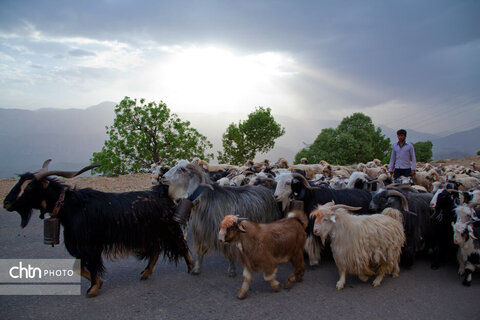 مالکَنون عشایر بختیاری