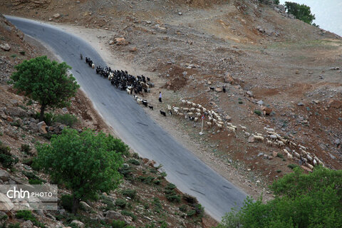 مالکَنون عشایر بختیاری