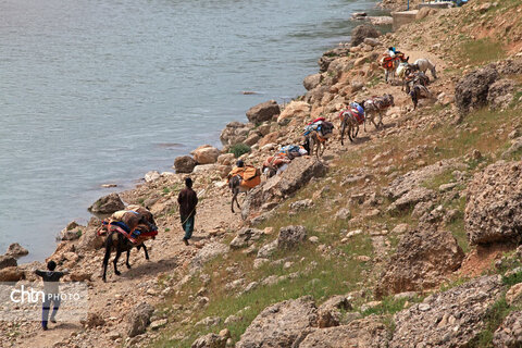 مالکَنون عشایر بختیاری