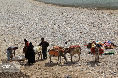 مالکَنون عشایر بختیاری