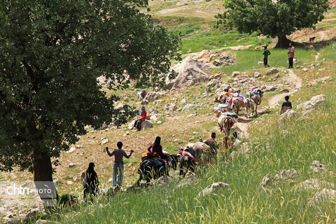 مالکَنون عشایر بختیاری