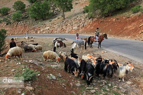 مالکَنون عشایر بختیاری